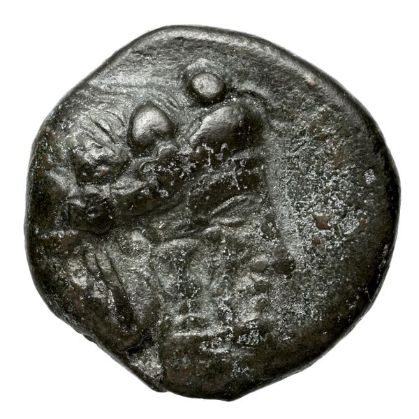 Andros Dreni 2010 VIII, аверс, bnf-iris