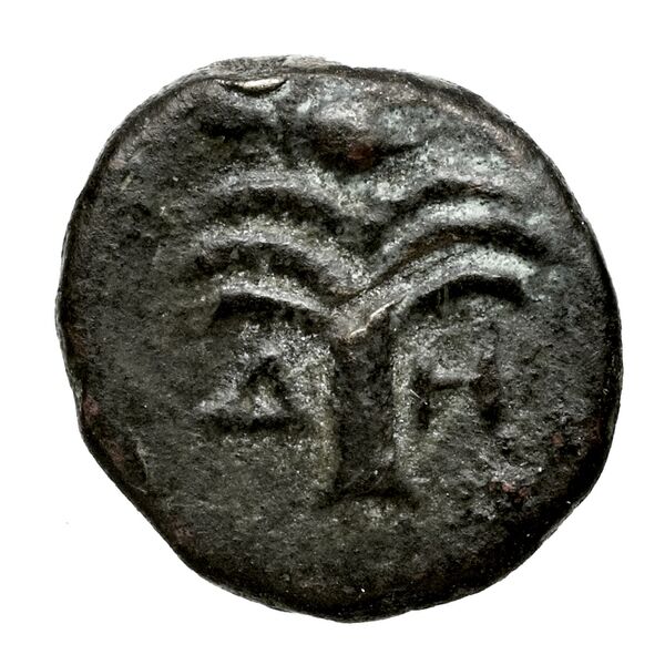 Delos BMC Delos 2-3, реверс, BnF (IRIS)