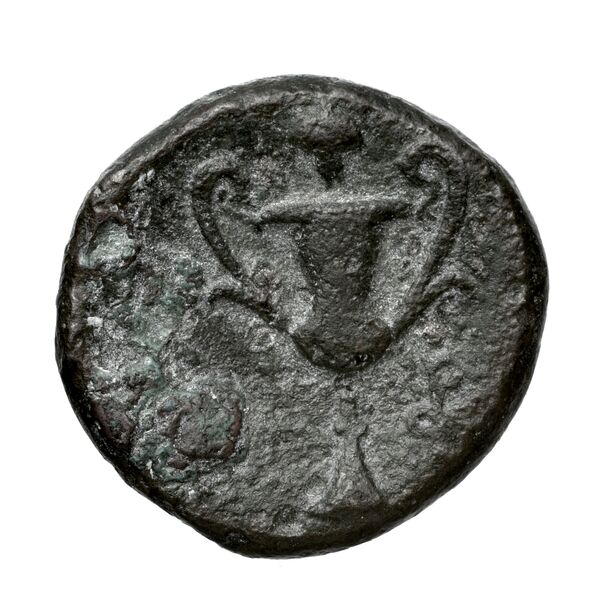 Corcyra BMC Corcyra 396-419, реверс, bnf-iris