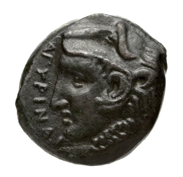 Agyrium Calciati 1987 5, аверс, bnf-iris