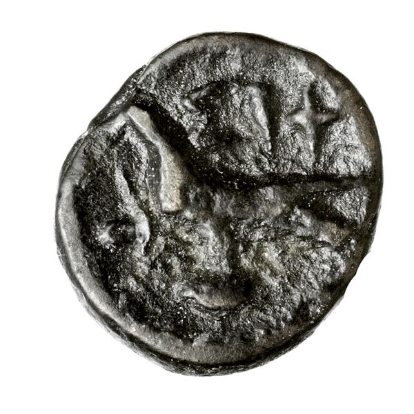 реверс Siphnos SNG Copenhagen Siphnos 749-750