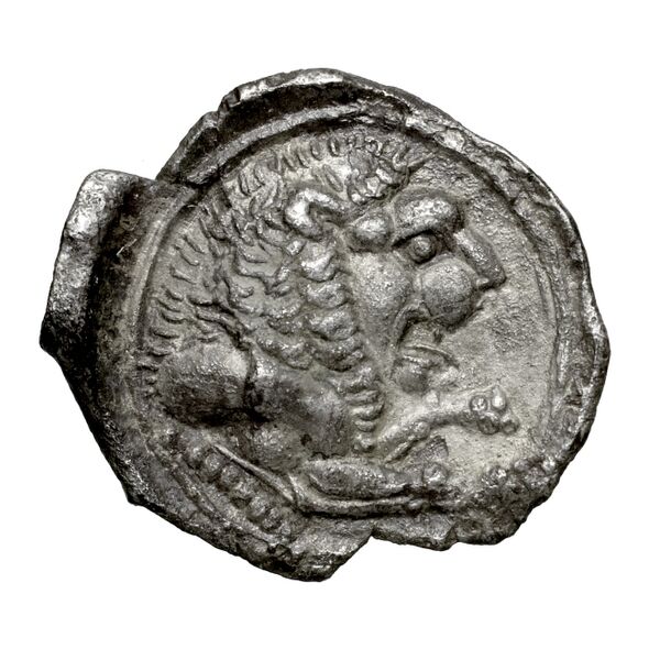 Amathus BMC Amathus 1-6, реверс, bnf-iris