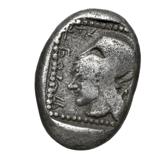 Lapethus BMC Lapethus 2-6, реверс, bnf-iris