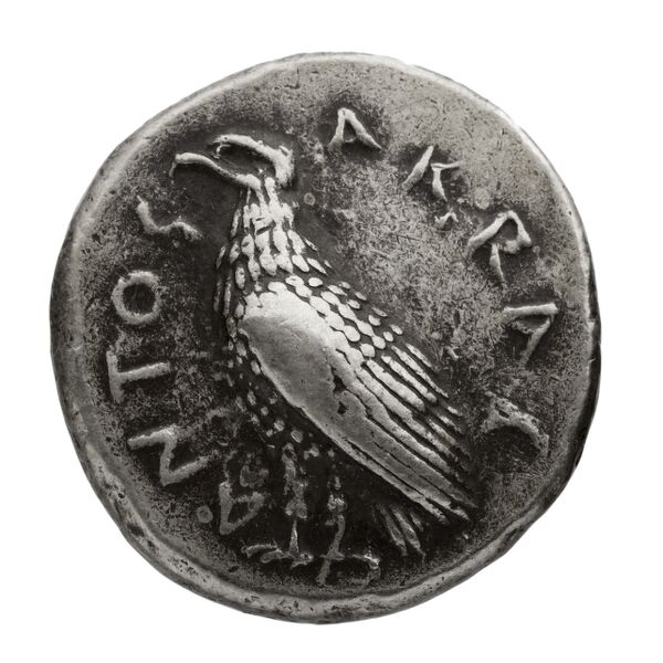 аверс Agrigentum Westermark 2018 didrachms_groupe_I-IV