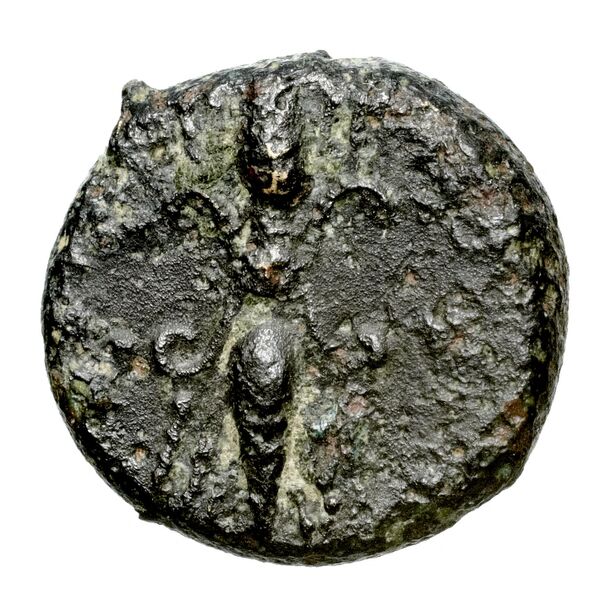 реверс Stasioikos II of Marium Marium BMC Marium 18 pl xx