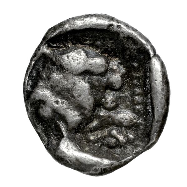 Amathus BMC Amathus 1-6, реверс, bnf-iris