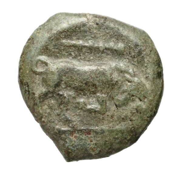 Poseidonia Historia Numorum Italy 1171-9, BnF (IRIS)