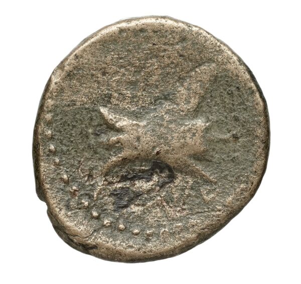 Aradus Duyrat 2005 1769-2220, реверс, bnf-iris