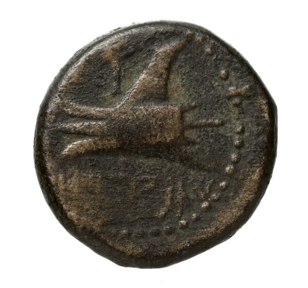 Aradus Duyrat 2005 1769-2220, реверс, bnf-iris
