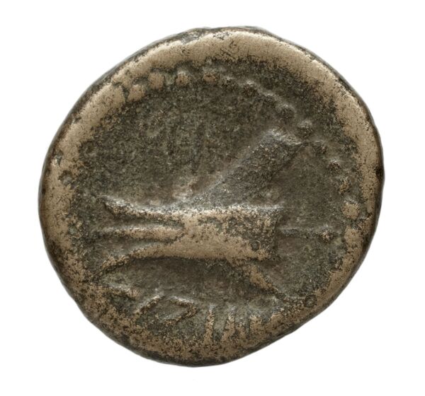 Aradus Duyrat 2005 1769-2220, реверс, bnf-iris