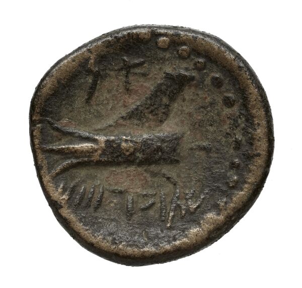Aradus Duyrat 2005 1769-2220, реверс, bnf-iris