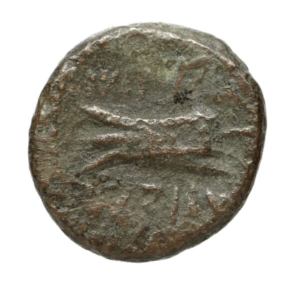 Aradus Duyrat 2005 1769-2220, реверс, bnf-iris