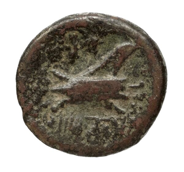 Aradus Duyrat 2005 1769-2220, реверс, bnf-iris