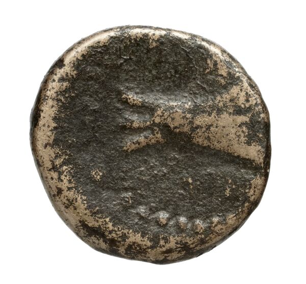 Aradus Duyrat 2005 1769-2220, реверс, bnf-iris