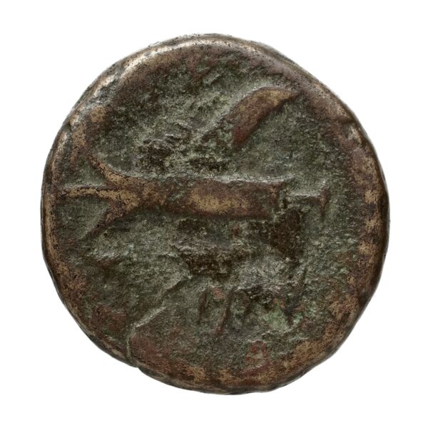 Aradus Duyrat 2005 1769-2220, реверс, bnf-iris