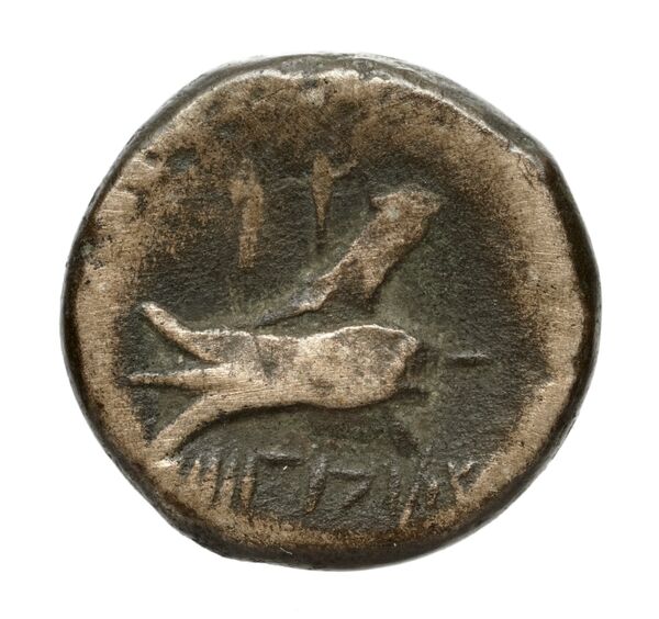 Aradus Duyrat 2005 1769-2220, реверс, bnf-iris