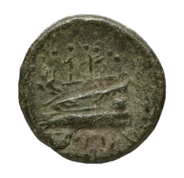 Aradus Duyrat 2005 4228-4381, реверс, bnf-iris