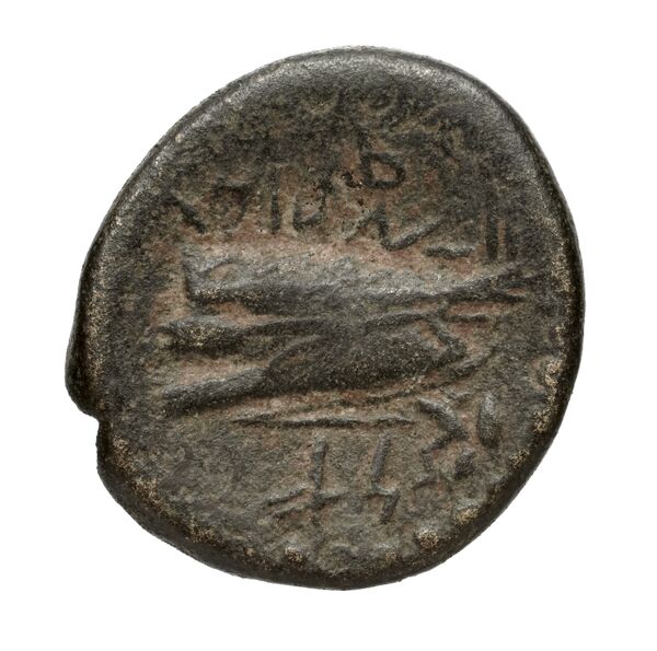 Aradus Duyrat 2005 4228-4381, реверс, bnf-iris