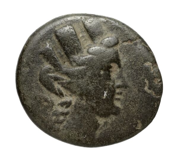 Aradus Duyrat 2005 2237-2492, аверс, bnf-iris
