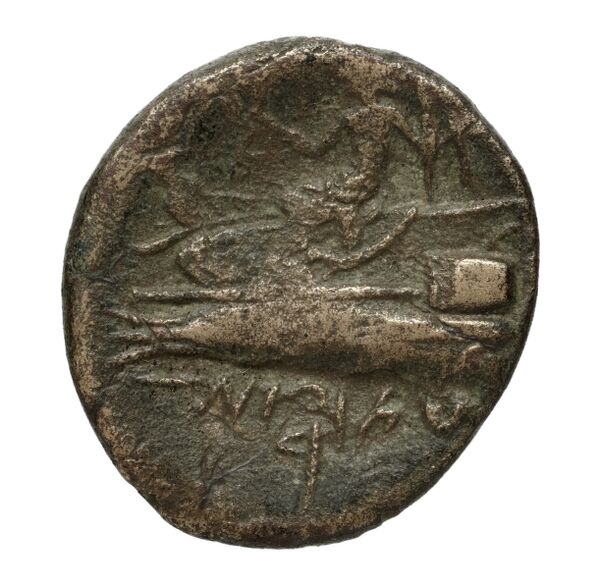 Aradus Duyrat 2005 2237-2492, реверс, bnf-iris
