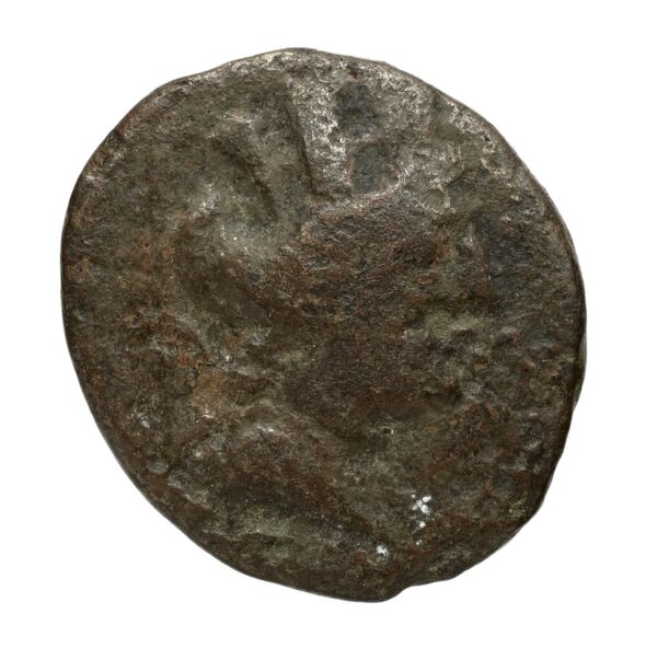 Aradus Duyrat 2005 2237-2492, аверс, bnf-iris