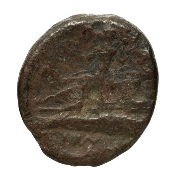 Aradus Duyrat 2005 2237-2492, реверс, bnf-iris