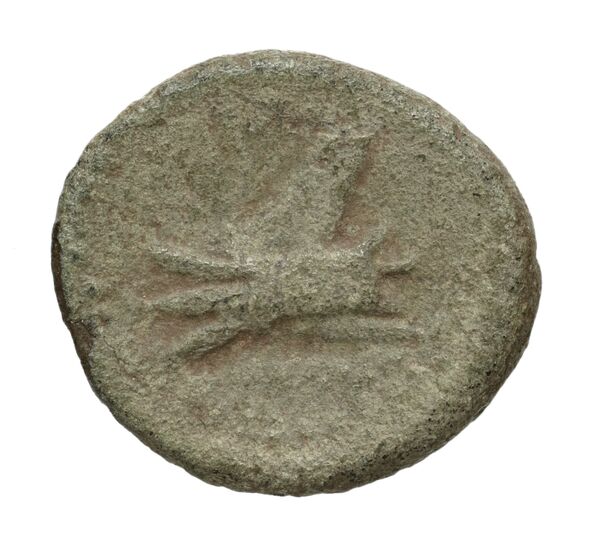 Aradus Duyrat 2005 1769-2220, реверс, bnf-iris