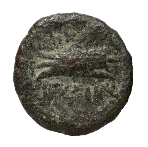 Aradus Duyrat 2005 1769-2220, реверс, bnf-iris