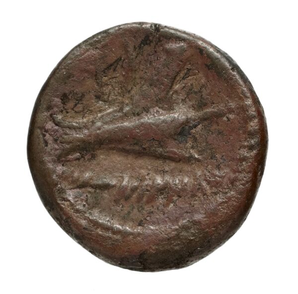 Aradus Duyrat 2005 1769-2220, реверс, bnf-iris