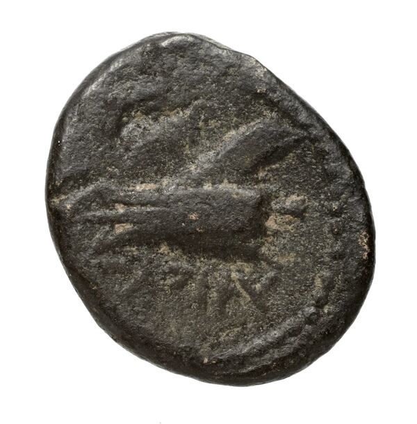 Aradus Duyrat 2005 1769-2220, реверс, bnf-iris