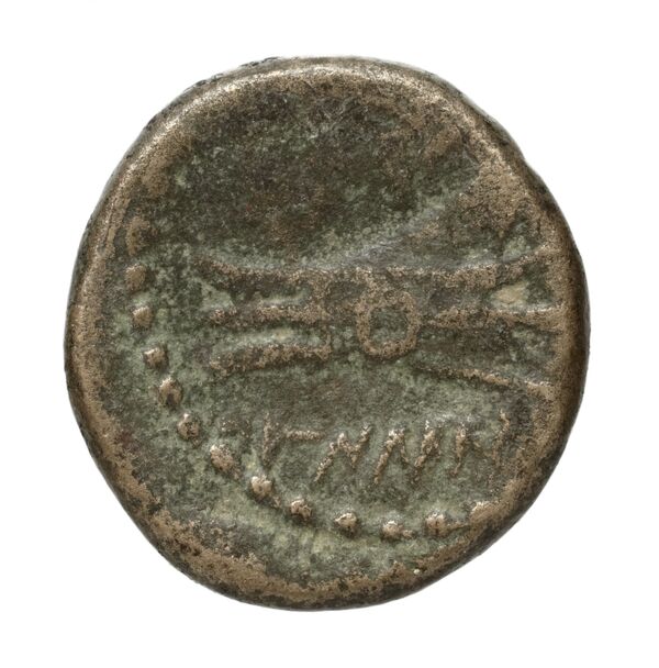 Aradus Duyrat 2005 1769-2220, реверс, bnf-iris