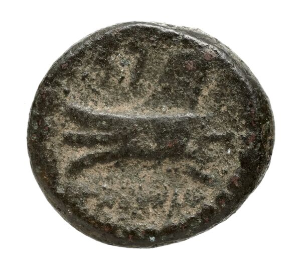 Aradus Duyrat 2005 1769-2220, реверс, bnf-iris