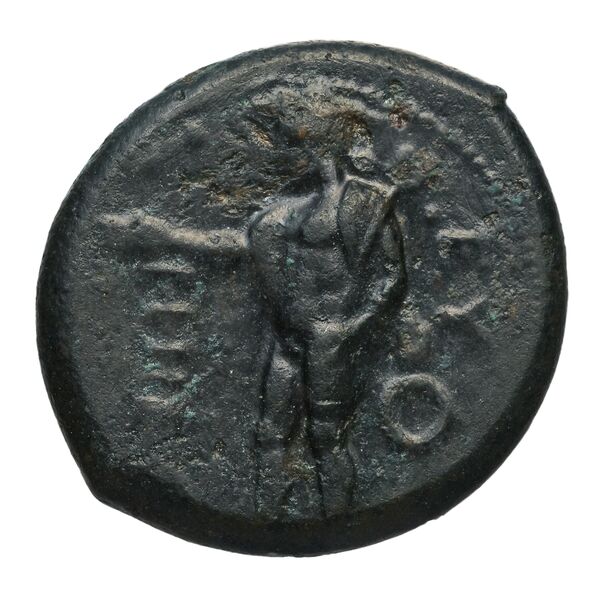 аверс Metapontum Historia Numorum Italy 1639