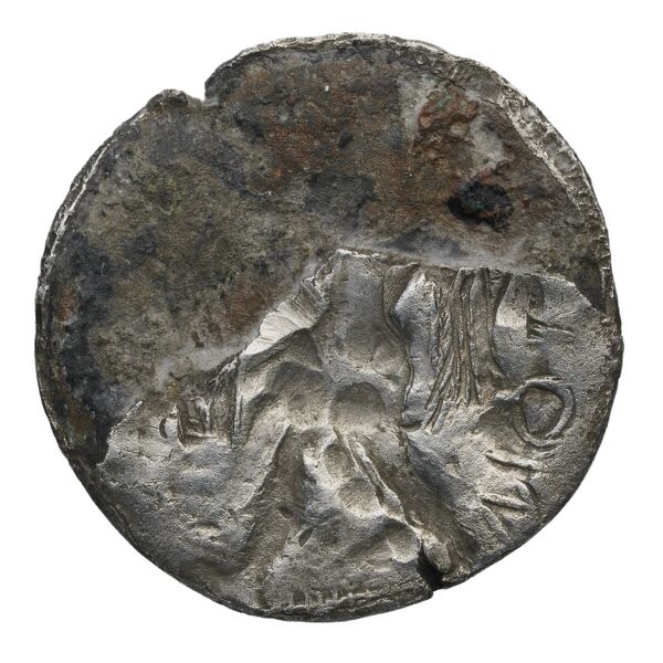 Poseidonia Historia Numorum Italy 1107, реверс, BnF (IRIS)