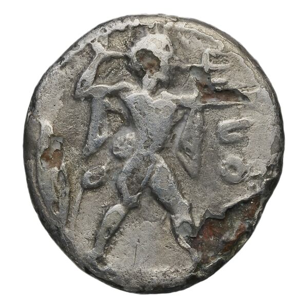 Poseidonia Historia Numorum Italy 1119, аверс, BnF (IRIS)