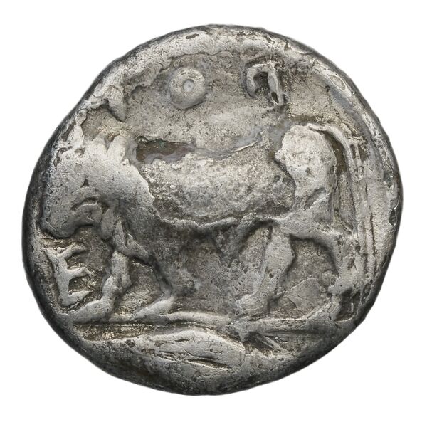 Poseidonia Historia Numorum Italy 1119, реверс, BnF (IRIS)