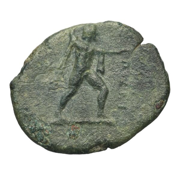 Poseidonia Historia Numorum Italy 1114, аверс, BnF (IRIS)