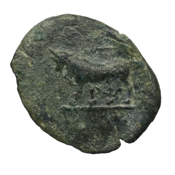 Poseidonia Historia Numorum Italy 1114, реверс, BnF (IRIS)