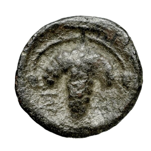 Corcyra BMC Corcyra 117-120_169-172, реверс, bnf-iris
