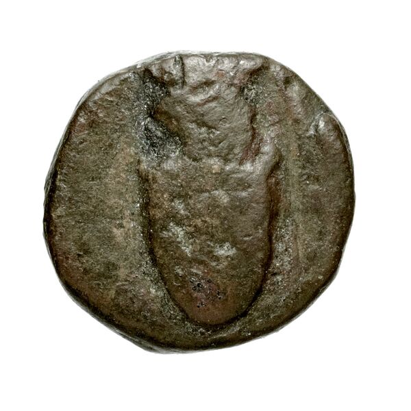 Corcyra BMC Corcyra 102-116_146-168, аверс, bnf-iris