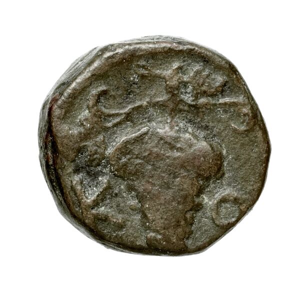 Corcyra BMC Corcyra 102-116_146-168, реверс, bnf-iris