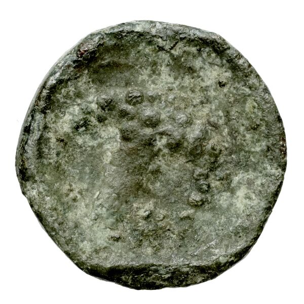 Corcyra BMC Corcyra 102-116_146-168, реверс, bnf-iris