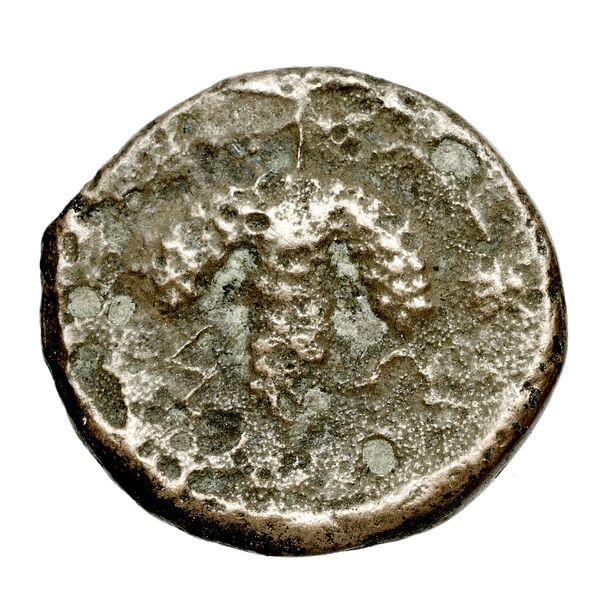 Corcyra BMC Corcyra 102-116_146-168, реверс, bnf-iris