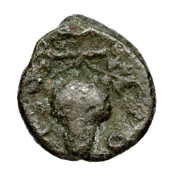Corcyra BMC Corcyra 102-116_146-168, реверс, bnf-iris