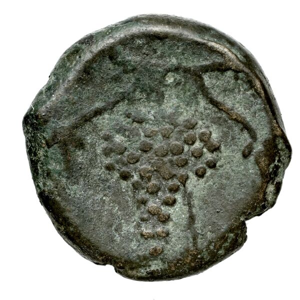 Corcyra BMC Corcyra 102-116_146-168, реверс, bnf-iris