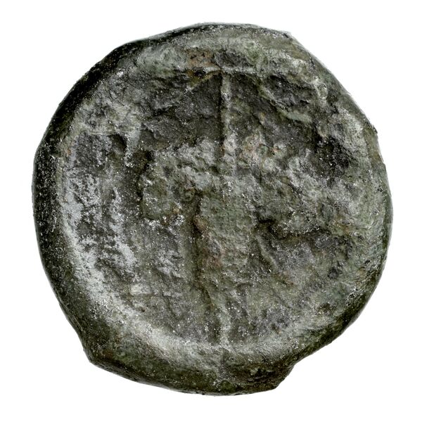 Corcyra BMC Corcyra 102-116_146-168, реверс, bnf-iris