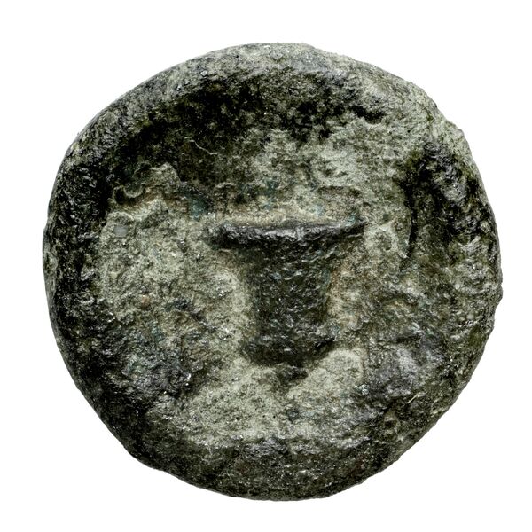 Corcyra BMC Corcyra 241-279, реверс, bnf-iris