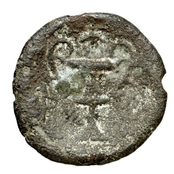 Corcyra BMC Corcyra 241-279, реверс, bnf-iris