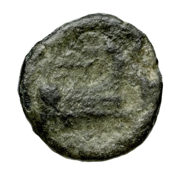Corcyra BMC Corcyra 298-312, реверс, bnf-iris