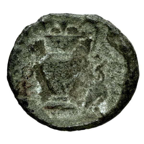 Corcyra BMC Corcyra 314-348_420-433, реверс, bnf-iris